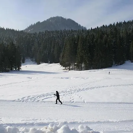 Dom wakacyjny In Altaussee On Loser Slopes Lichtersberg